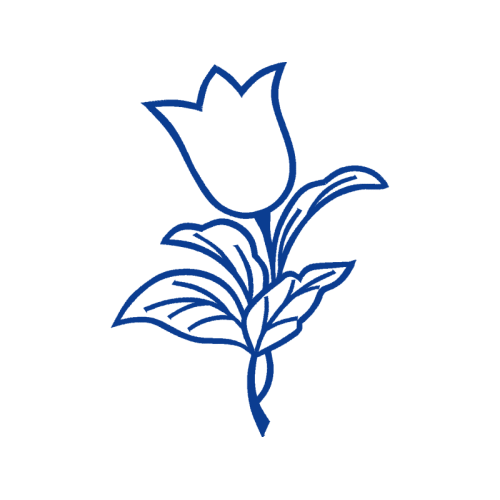 Drawing Flowers Drawing Flowers