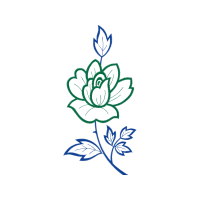 Drawing Flowers Drawing Flowers