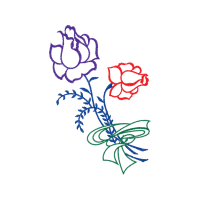 Drawing Flowers Drawing Flowers