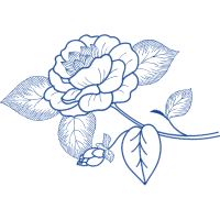 Drawing Flowers Drawing Flowers