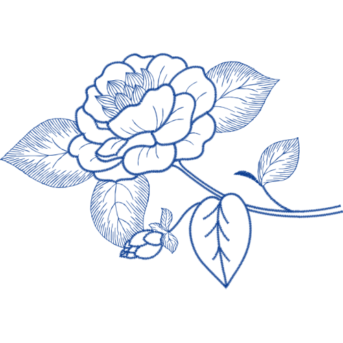 Drawing Flowers Drawing Flowers