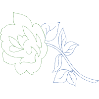 Drawing Flowers Drawing Flowers