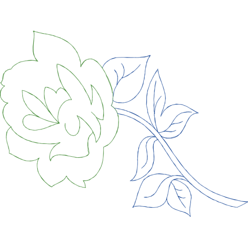 Drawing Flowers Drawing Flowers