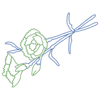 Drawing Flowers Drawing Flowers