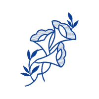 Drawing Flowers Drawing Flowers