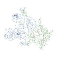 Drawing Flowers Drawing Flowers