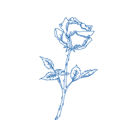 Drawing Flowers Drawing Flowers