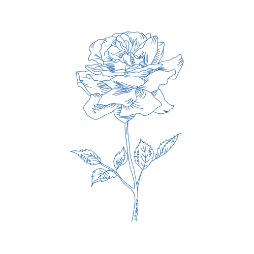 Drawing Flowers Drawing Flowers