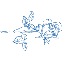 Drawing Flowers Drawing Flowers