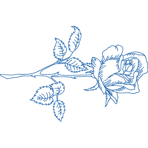 Drawing Flowers Drawing Flowers