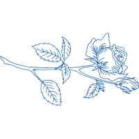 Drawing Flowers Drawing Flowers