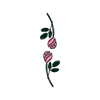 Drawing Flowers Drawing Flowers