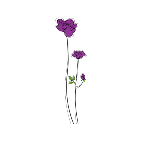 Drawing Flowers Drawing Flowers