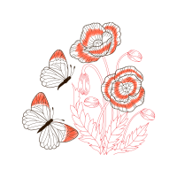 Drawing Flowers Drawing Flowers