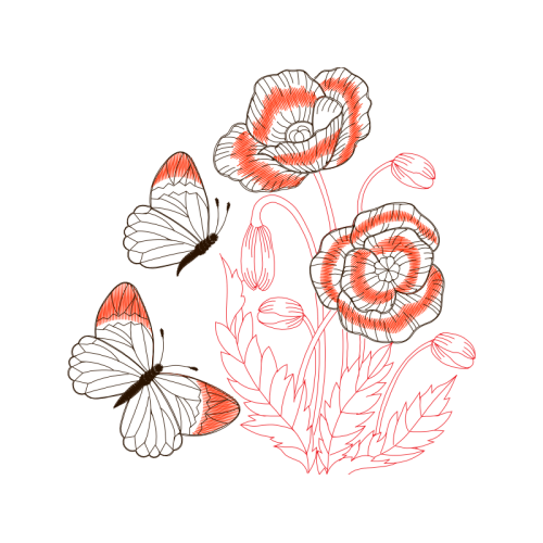 Drawing Flowers Drawing Flowers