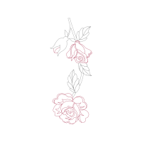 Drawing Flowers Drawing Flowers