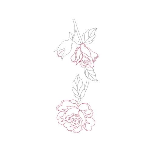 Drawing Flowers Drawing Flowers