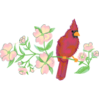 Drawing Flowers Drawing Flowers