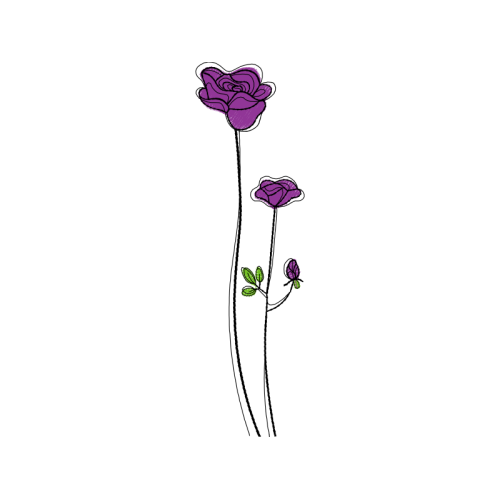 Drawing Flowers Drawing Flowers