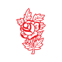 Drawing Flowers Drawing Flowers