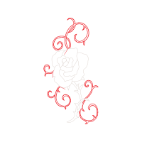 Drawing Flowers Drawing Flowers