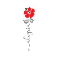 Drawing Flowers Drawing Flowers