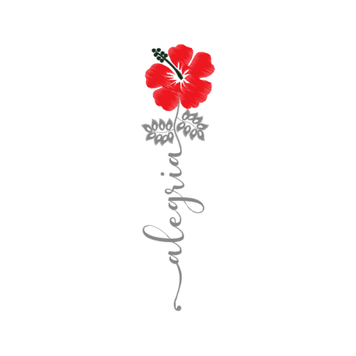 Drawing Flowers Drawing Flowers