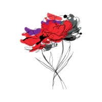 Drawing Flowers Drawing Flowers