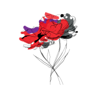 Drawing Flowers Drawing Flowers