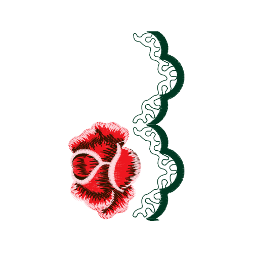 Drawing Flowers Drawing Flowers