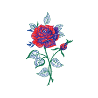 Drawing Flowers Drawing Flowers