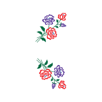 Drawing Flowers Drawing Flowers