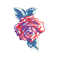 Drawing Flowers Drawing Flowers