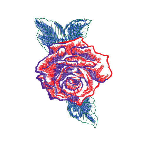 Drawing Flowers Drawing Flowers