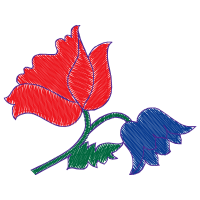 Drawing Flowers Drawing Flowers