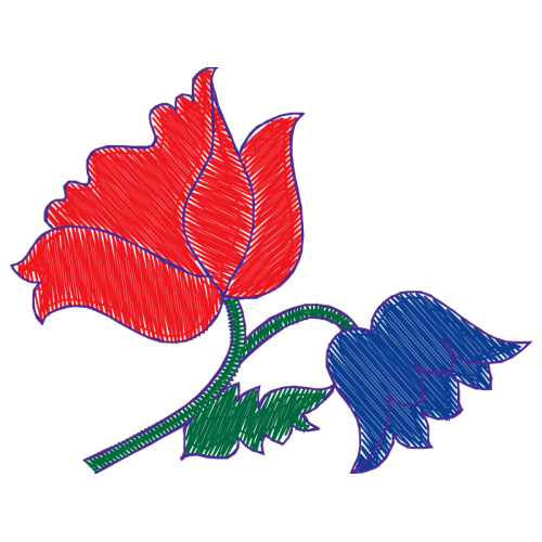 Drawing Flowers Drawing Flowers