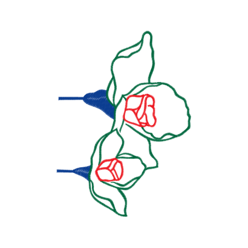 Drawing Flowers Drawing Flowers