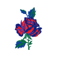 Drawing Flowers Drawing Flowers