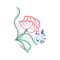 Drawing Flowers Drawing Flowers