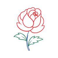 Drawing Flowers Drawing Flowers