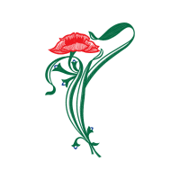 Drawing Flowers Drawing Flowers