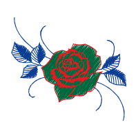 Drawing Flowers Drawing Flowers