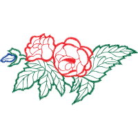 Drawing Flowers Drawing Flowers