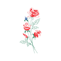 Drawing Flowers Drawing Flowers