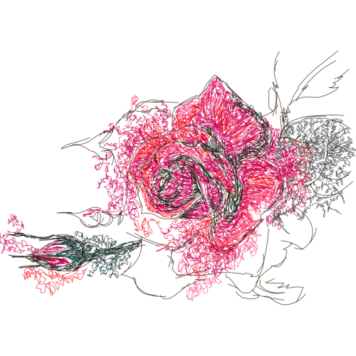 Drawing Flowers Drawing Flowers