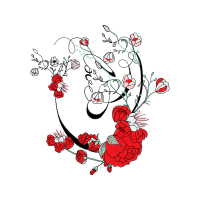 Drawing Flowers Drawing Flowers