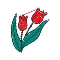 Drawing Flowers Drawing Flowers