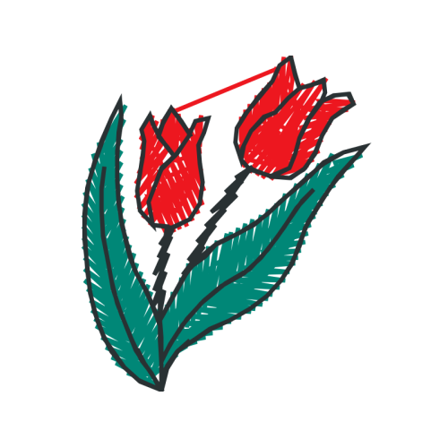 Drawing Flowers Drawing Flowers