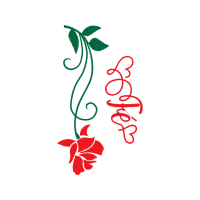 Drawing Flowers Drawing Flowers