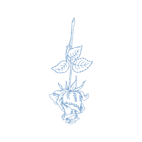 Drawing Flowers Drawing Flowers